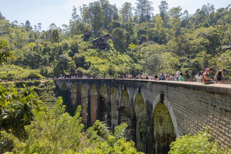 Ella,,February,8,,2024