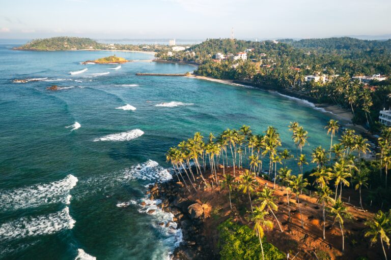 Coconut,Tree,Hill,In,Mirissa,Beach.,Sri,Lanka