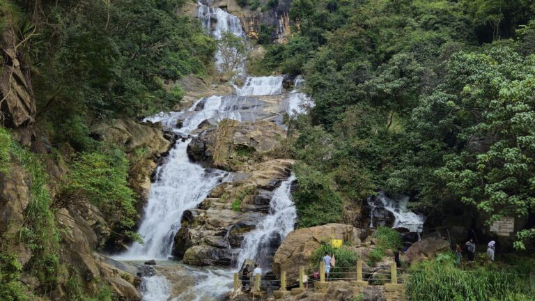 pexels-tarana-tabassum-685221579-28773425 (1)